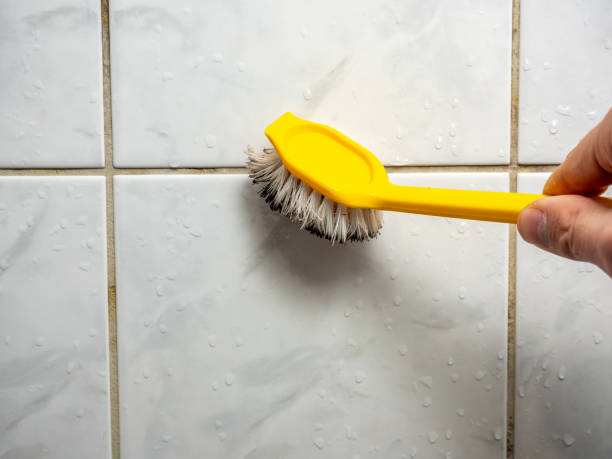 Best Mold Damage Repair  in Dike, IA