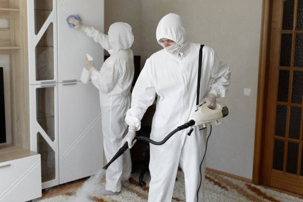 Mold Testing and Removal in Dike, IA