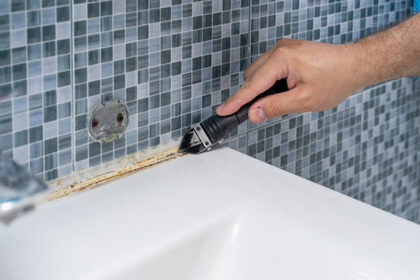 Best Fast Mold Removal  in Dike, IA