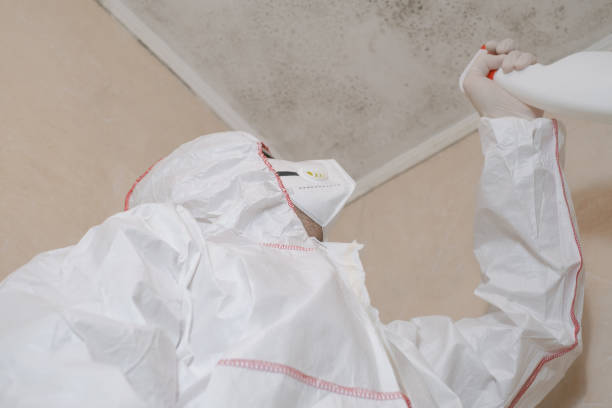 Best Certified Mold Removal  in Dike, IA